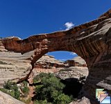 Natural Bridges